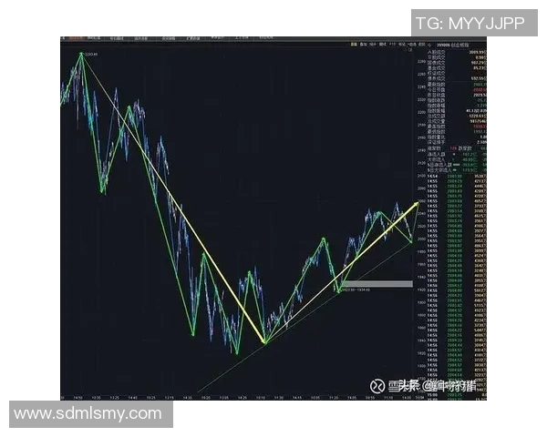 重庆与武汉排球队赛后复盘分析比赛节奏与战术对比